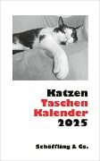 Katzen Taschenkalender 2025 - Julia Bachstein