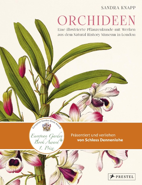 Orchideen - Sandra Knapp