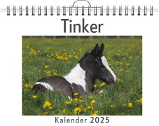Cover-Bild zum Titel 'Tinker' von 'Clara Horn'