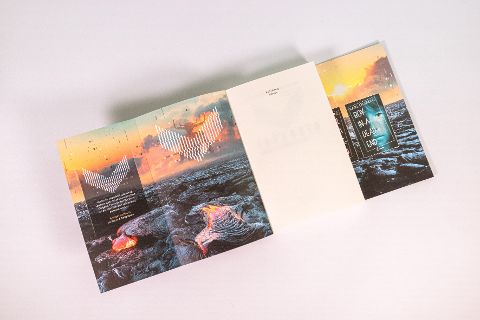 InsideView 3