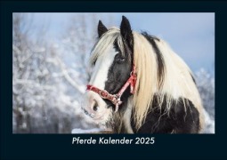 Cover-Bild zum Titel 'Pferde Kalender 2025 Fotokalender DIN A5' von 'Tobias Becker'