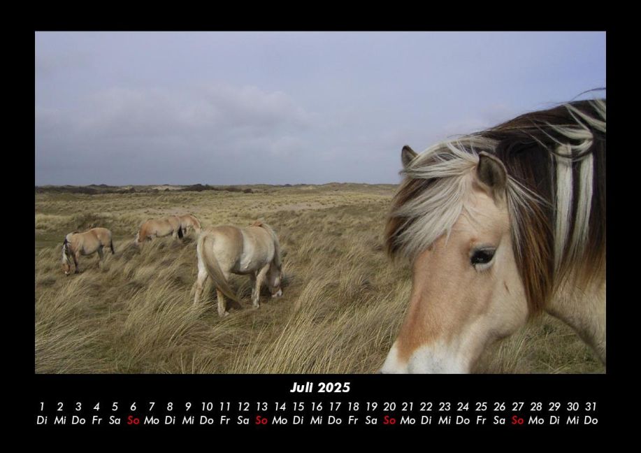InsideView 11