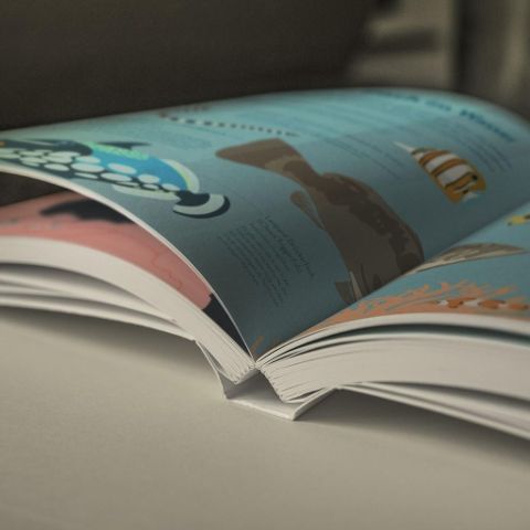 InsideView 5