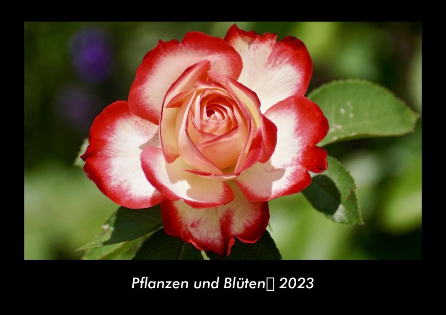 Pflanzen und Blüten 2023 Fotokalender DIN A3 - Tobias Becker