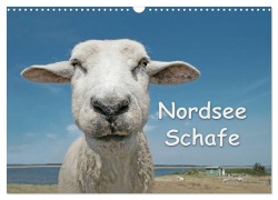 Cover-Bild zum Titel 'Nordsee Schafe (Wandkalender 2027 DIN A3 quer), CALVENDO Monatskalender' von 'Andrea Wilken'
