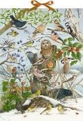 Cover-Bild zum Titel 'Sound-Adventskalender - 24 Vogelstimmen' von ''
