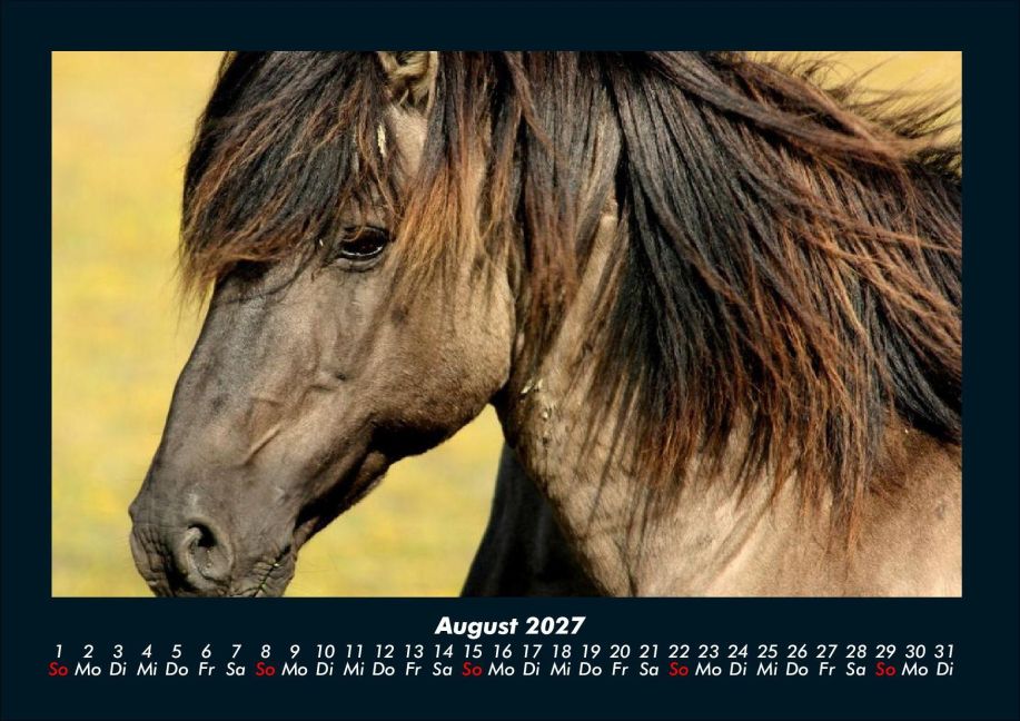 InsideView 12