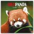 Red Panda - Rote Pandas - Rote Pandabären 2025 - Wand-Kalender - Carousel Calendar