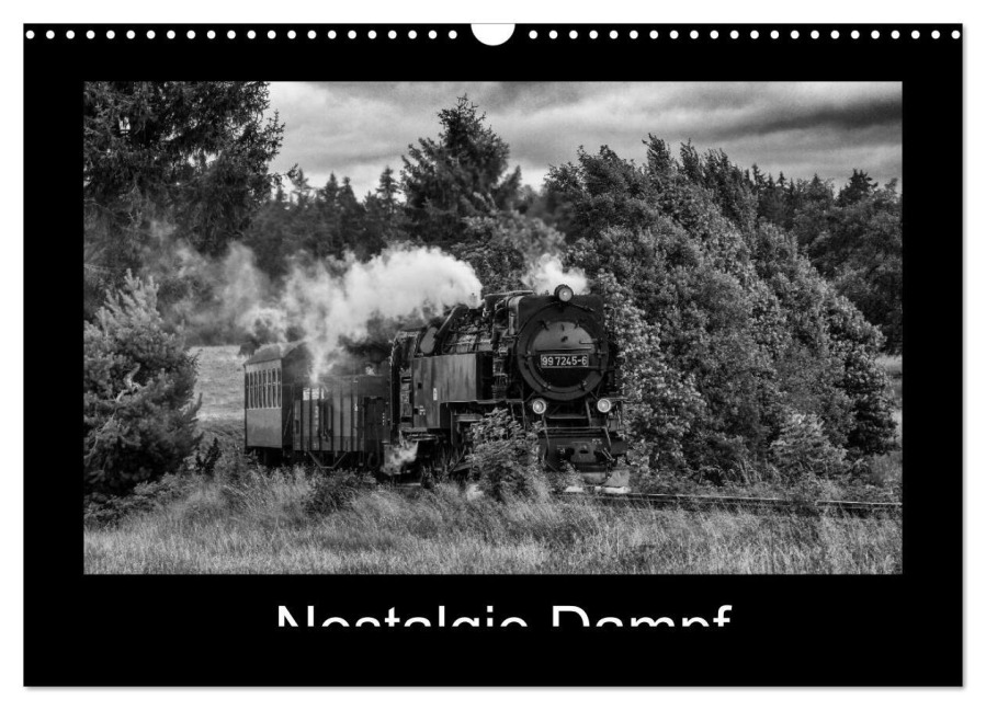Nostalgie Dampf (Wandkalender 2026 DIN A3 quer), CALVENDO Monatskalender - Marion Maurer