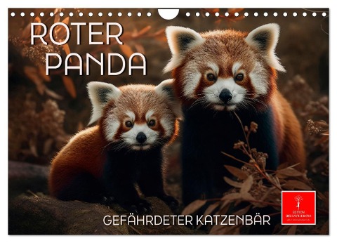 Roter Panda - gefährdeter Katzenbär (Wandkalender 2024 DIN A4 quer), CALVENDO Monatskalender - Peter Roder