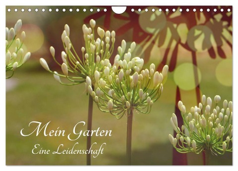 Mein Garten Eine Leidenschaft (Wandkalender 2024 DIN A4 quer), CALVENDO Monatskalender - Renate Grobelny