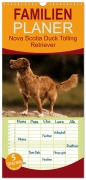 Cover-Bild zum Titel 'Familienplaner 2027 - Nova Scotia Duck Tolling Retriever mit 5 Spalten (Wandkalender, 21 x 45 cm) CALVENDO' von 'Beatrice Müller Hundefotowerk'