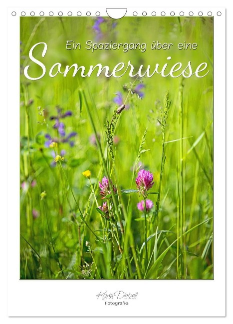Ein Spaziergang über eine Sommerwiese (Wandkalender 2024 DIN A4 hoch), CALVENDO Monatskalender - Karin Dietzel