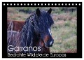 Garranos - Bedrohte Wildpferde Europas (Tischkalender 2024 DIN A5 quer), CALVENDO Monatskalender - Sabine Bengtsson/Www. Perlenfaenger. Com