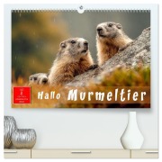 Cover-Bild zum Titel 'Hallo Murmeltier (hochwertiger Premium Wandkalender 2026 DIN A2 quer), Kunstdruck in Hochglanz' von 'Roder Roder'