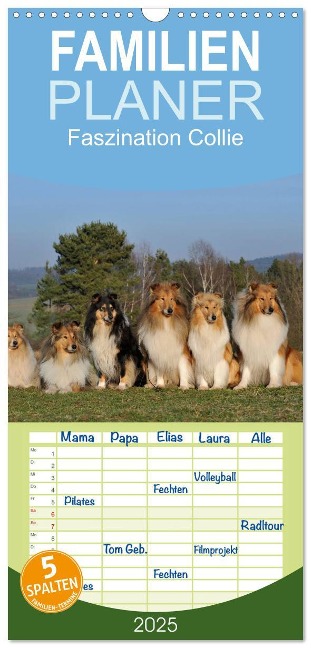 Familienplaner 2025 - Faszination Collie 2025 mit 5 Spalten (Wandkalender, 21 x 45 cm) CALVENDO - Sigrid Starick