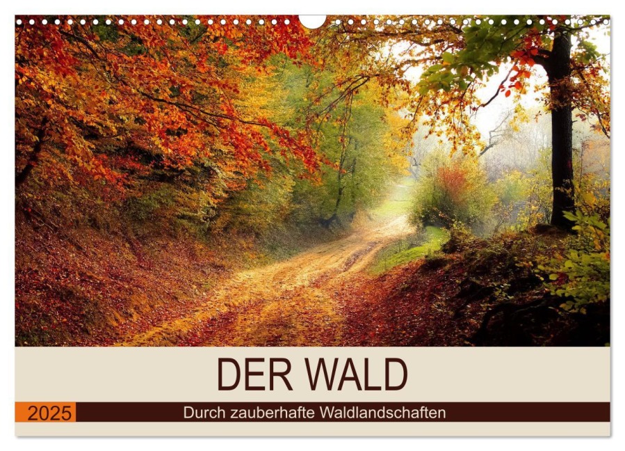 Der Wald. Durch zauberhafte Waldlandschaften (Wandkalender 2025 DIN A3 quer), CALVENDO Monatskalender - Rose Hurley