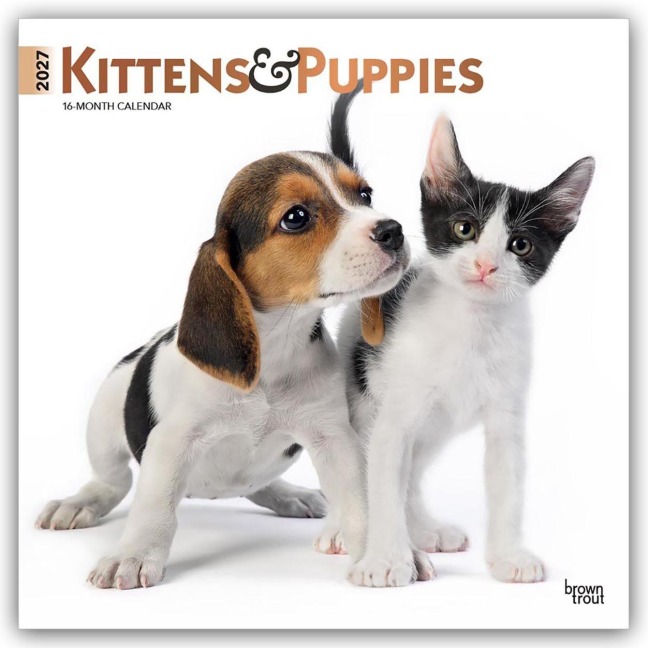Kittens & Puppies - Kätzchen & Welpen 2027 - 16-Monatskalender - Browntrout Publishers