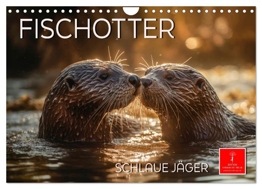 Fischotter - schlaue Jäger (Wandkalender 2026 DIN A4 quer), CALVENDO Monatskalender - Peter Roder