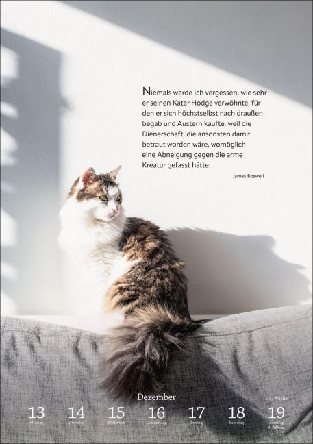 InsideView 10