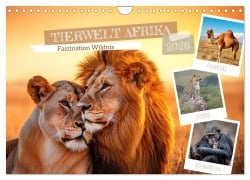 TIERWELT AFRIKA Faszination Wildnis (Wandkalender 2026 DIN A4 quer), CALVENDO Monatskalender - Melanie Viola