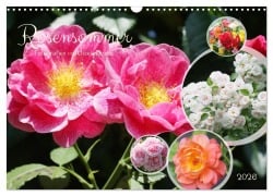 Cover-Bild zum Titel 'Rosensommer (Wandkalender 2026 DIN A3 quer), CALVENDO Monatskalender' von 'Gisela Kruse'