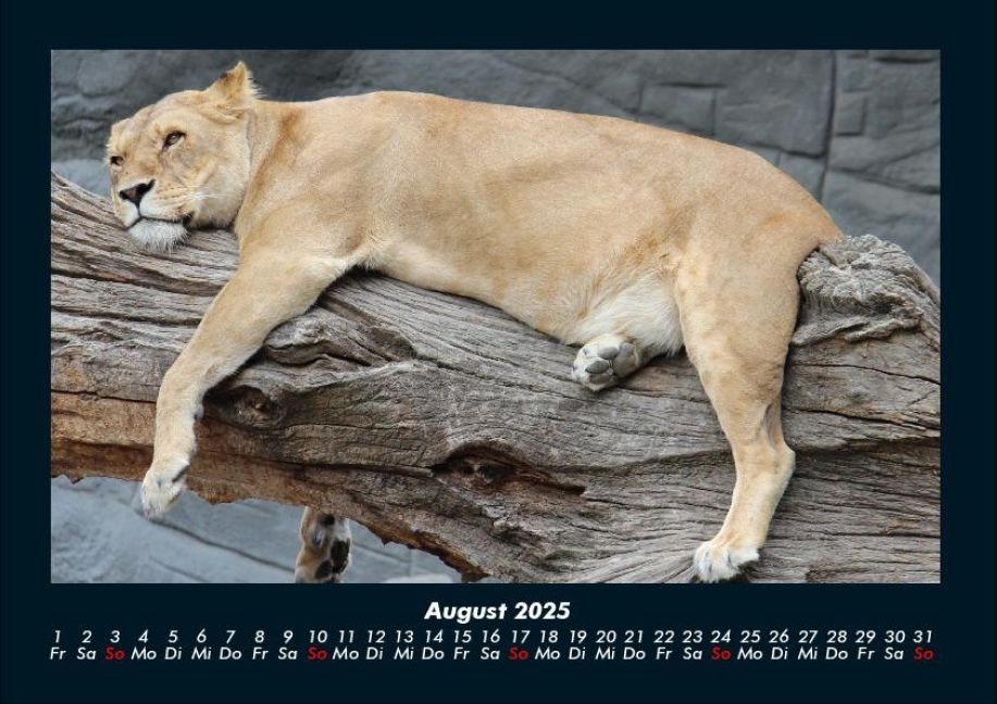 InsideView 12