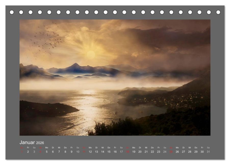 InsideView 6