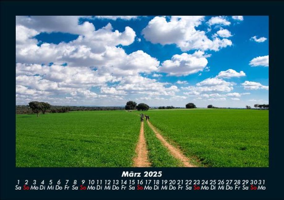 InsideView 7