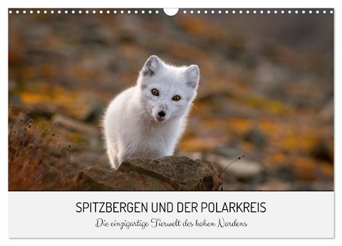 Spitzbergen und der Polarkreis (Wandkalender 2025 DIN A3 quer), CALVENDO Monatskalender - David Lerch