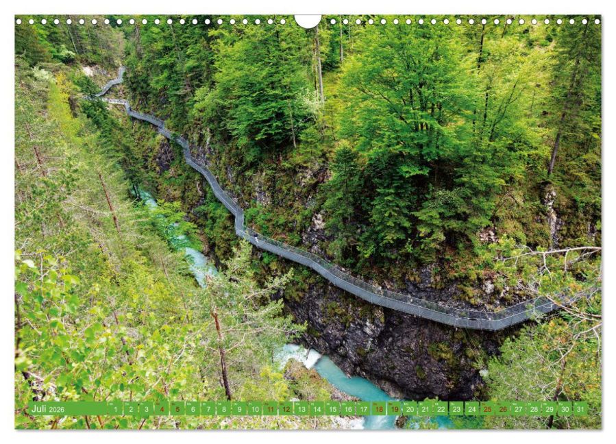 InsideView 12