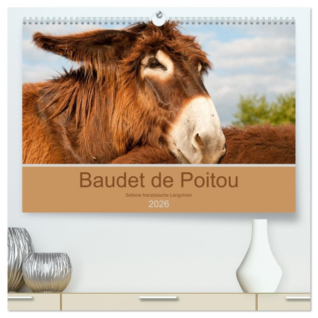 Baudet de Poitou - Seltene französische Langohren (hochwertiger Premium Wandkalender 2026 DIN A2 quer), Kunstdruck in Hochglanz - Meike Bölts