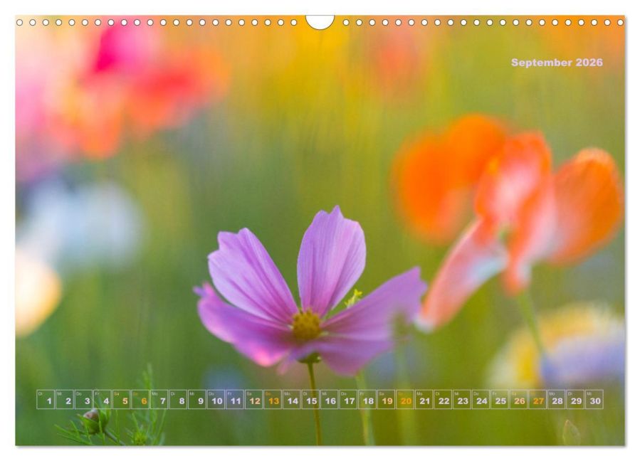 InsideView 14