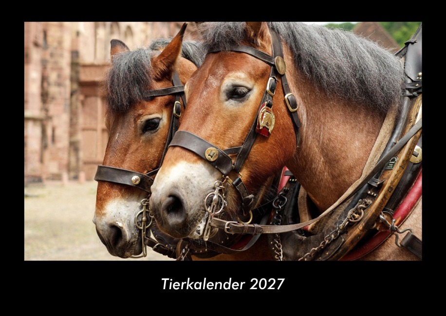 Tierkalender 2027 Fotokalender DIN A3 - Tobias Becker