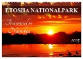 ETOSHA NATIONALPARK Traumziel in Namibia (Wandkalender 2025 DIN A2 quer), CALVENDO Monatskalender - Wibke Woyke