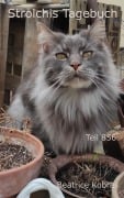 Cover-Bild zum Titel 'Strolchis Tagebuch - Teil 856' von 'Beatrice Kobras'