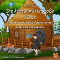 Cover-Bild zum Titel 'Die kleine mittelgroße Hexe' von 'V. C. Schmitt'