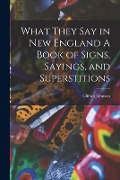 What They Say in New England A Book of Signs, Sayings, and Superstitions - Clifton Johnson