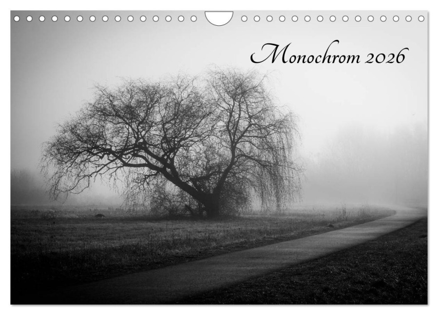 Monochrom 2026 (Wandkalender 2026 DIN A4 quer), CALVENDO Monatskalender - Alexander Pfeiffer