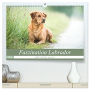 Cover-Bild zum Titel 'Faszination Labrador - gelb, foxred, schwarz (hochwertiger Premium Wandkalender 2026 DIN A2 quer), Kunstdruck in Hochglanz' von 'Cornelia Strunz'