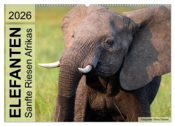 Elefanten - Sanfte Riesen Afrikas (Wandkalender 2026 DIN A2 quer), CALVENDO Monatskalender - Silvia Trüssel