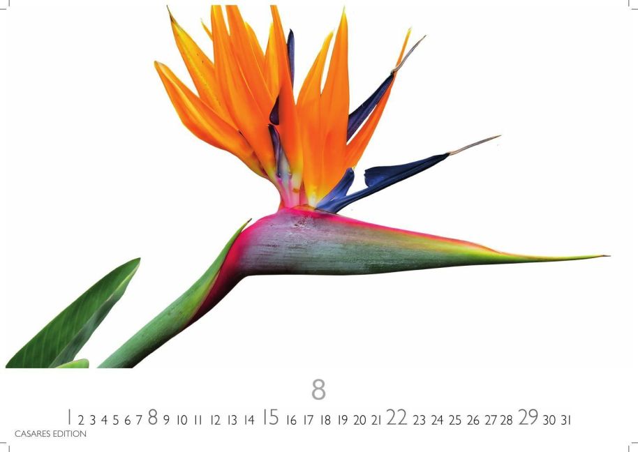 InsideView 8