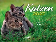 Cover-Bild zum Titel 'Katzen 2027 Eintragkalender' von ''