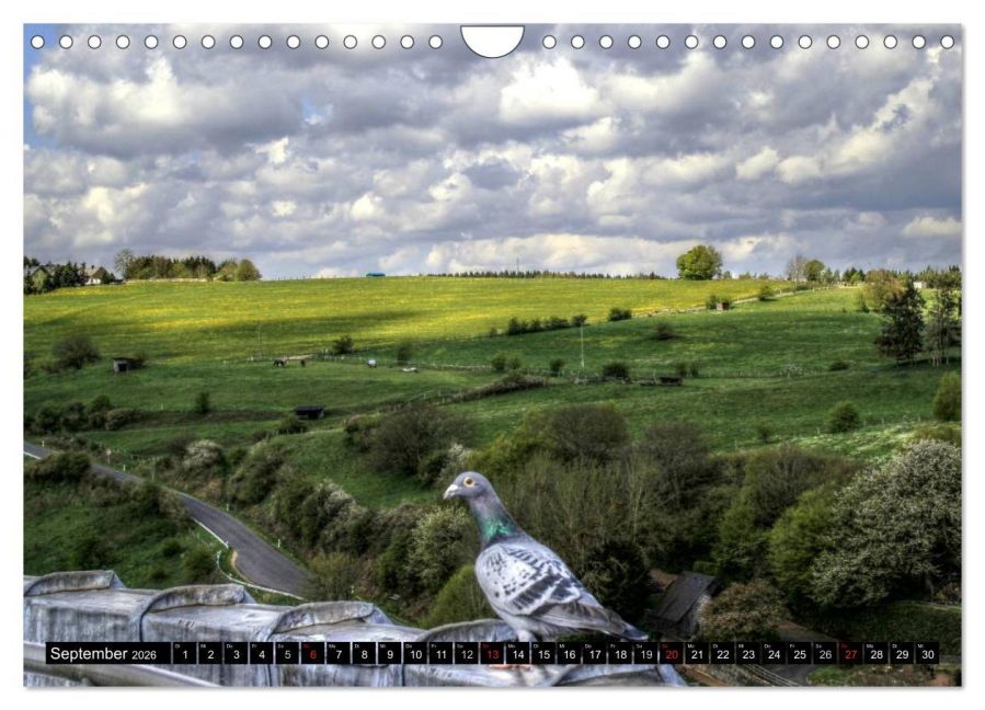 InsideView 14