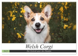 Welsh Corgi - Der Kobold unter den Hunden (Wandkalender 2025 DIN A2 quer), CALVENDO Monatskalender - Maria Ahrens