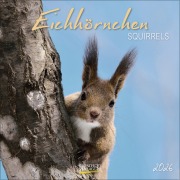 Cover-Bild zum Titel 'Eichhörnchen 2026' von ''