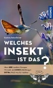 Cover-Bild zum Titel 'Welches Insekt ist das?' von 'Heiko Bellmann'