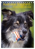 Australian Shepherd ¿ Mit dem Aussie unterwegs (Tischkalender 2025 DIN A5 hoch), CALVENDO Monatskalender - Andrea Mayer Tierfotografie