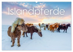 Cover-Bild zum Titel 'Islandpferde - Die süßen Pferde im Norden. (Wandkalender 2026 DIN A2 quer), CALVENDO Monatskalender' von 'M. Scott'