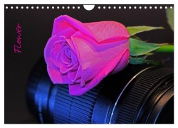 Cover-Bild zum Titel 'Flower (Wandkalender 2026 DIN A4 quer), CALVENDO Monatskalender' von 'Andrea Damm'